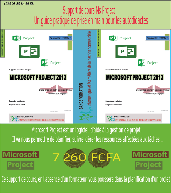 Support de cours Microsoft Project