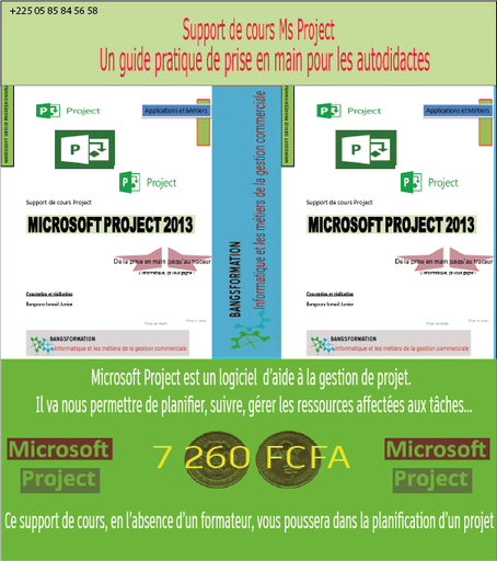 Support de cours Microsoft Project